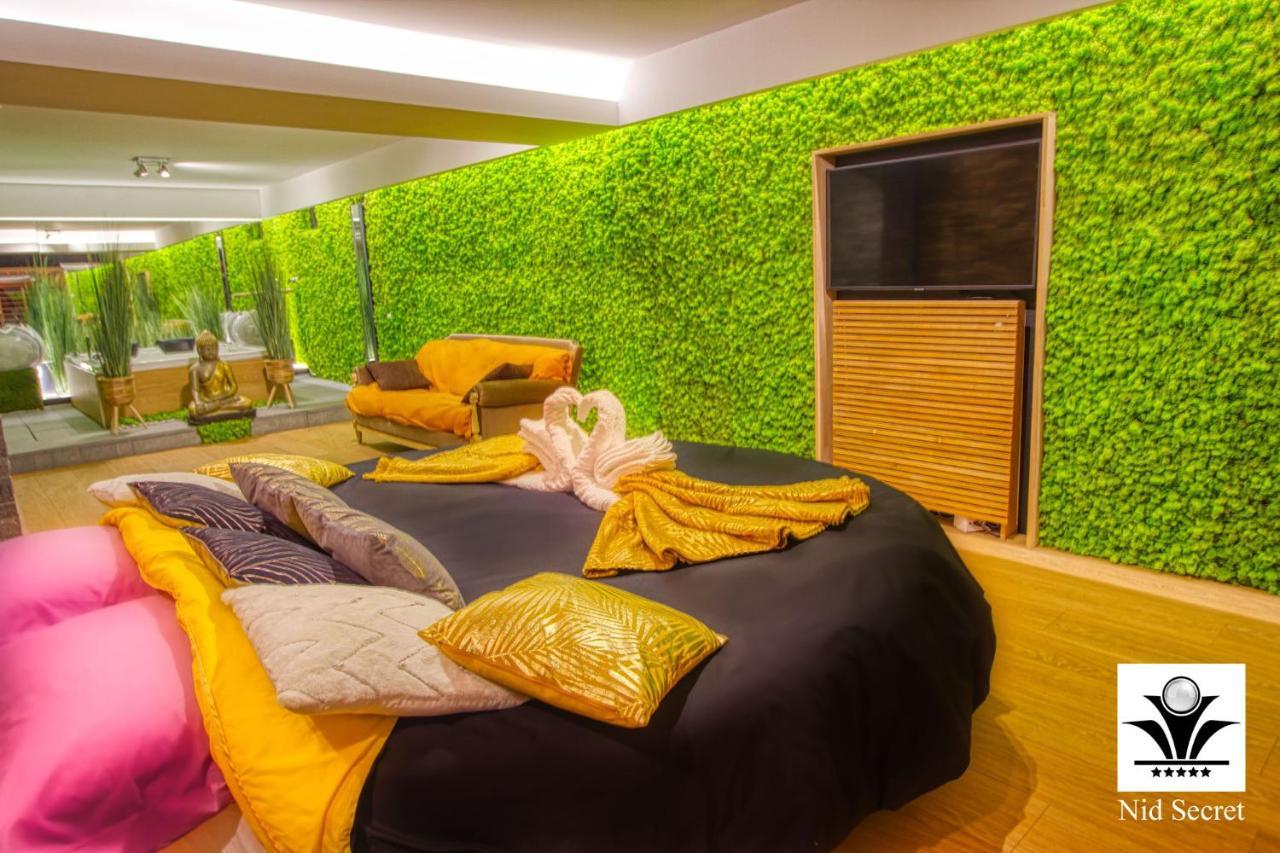 Panoramique 180 Lac Et Montagne Et Nid Secret Spa Romantique アヌシー エクステリア 写真