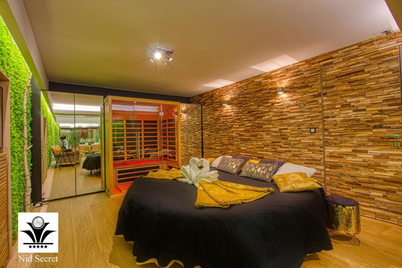 Panoramique 180 Lac Et Montagne Et Nid Secret Spa Romantique アヌシー エクステリア 写真