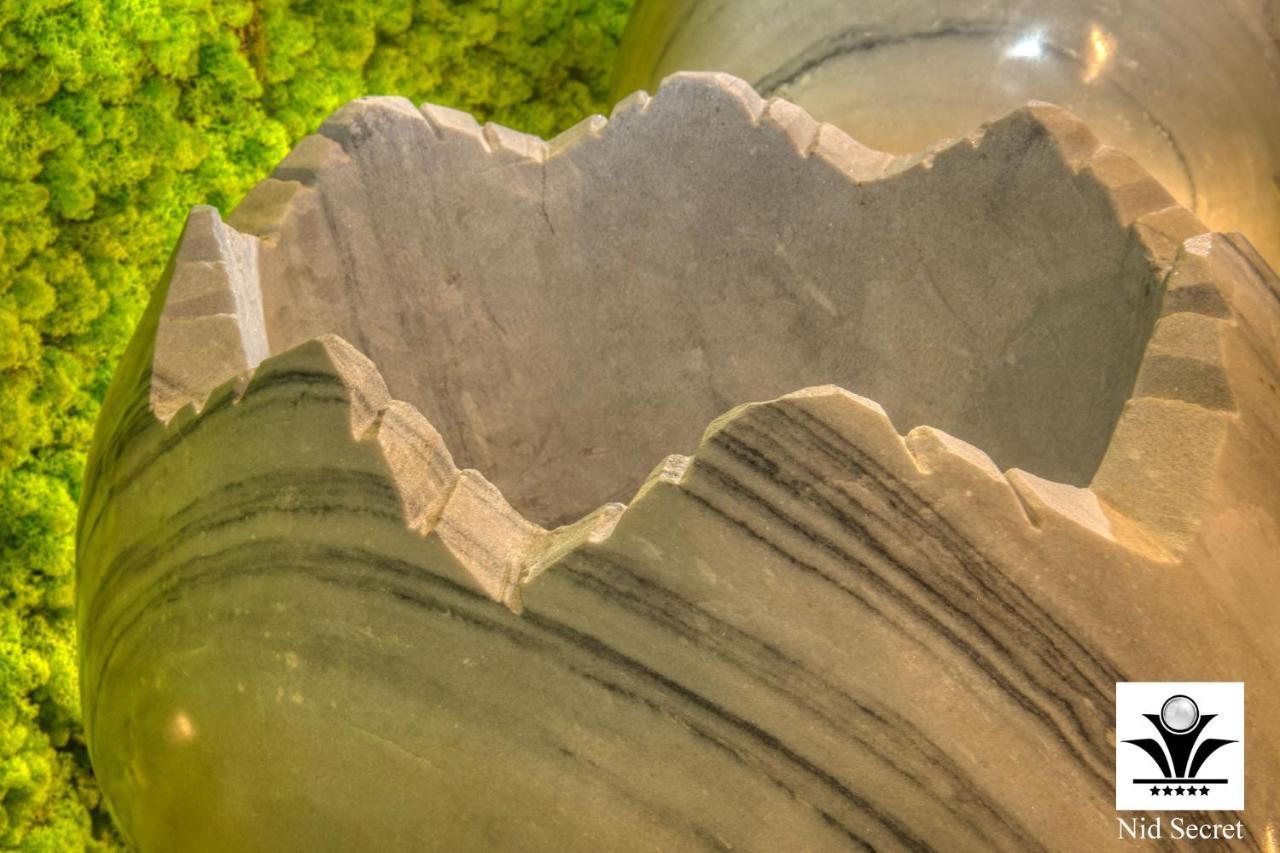 Panoramique 180 Lac Et Montagne Et Nid Secret Spa Romantique アヌシー エクステリア 写真